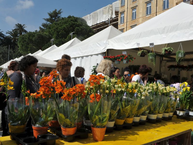 Discover THE FLORICULTURE AND NURSERY SECTOR IS WORTH MORE THAN 3 BILLION EUROS