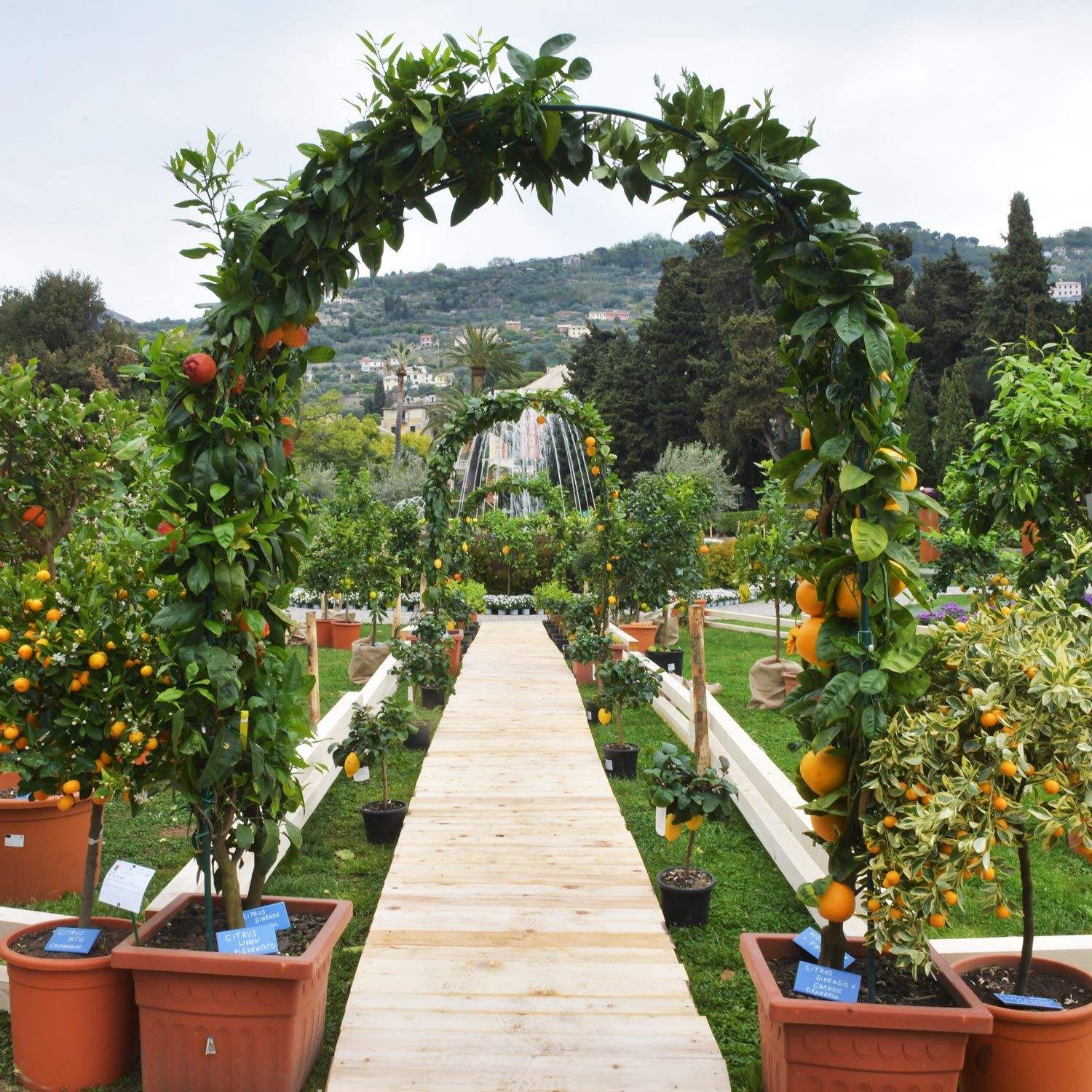 Scopri A Catania la premiazione delle aziende florovivaistiche siciliane