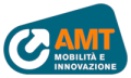 amt