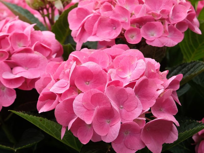 Scopri La musica si fa spazio, con i concerti della “rinascita”