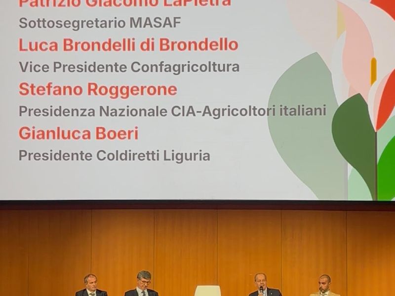 Scopri I FOCUS DELLA SESSIONE POMERIDIANA DI “RADICI NEL FUTURO”